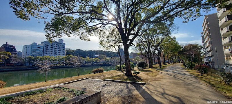 ライオンズマンション京橋川公園 現地写真