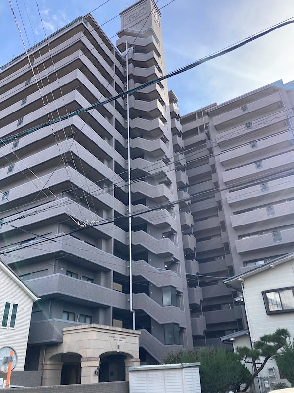 現地写真