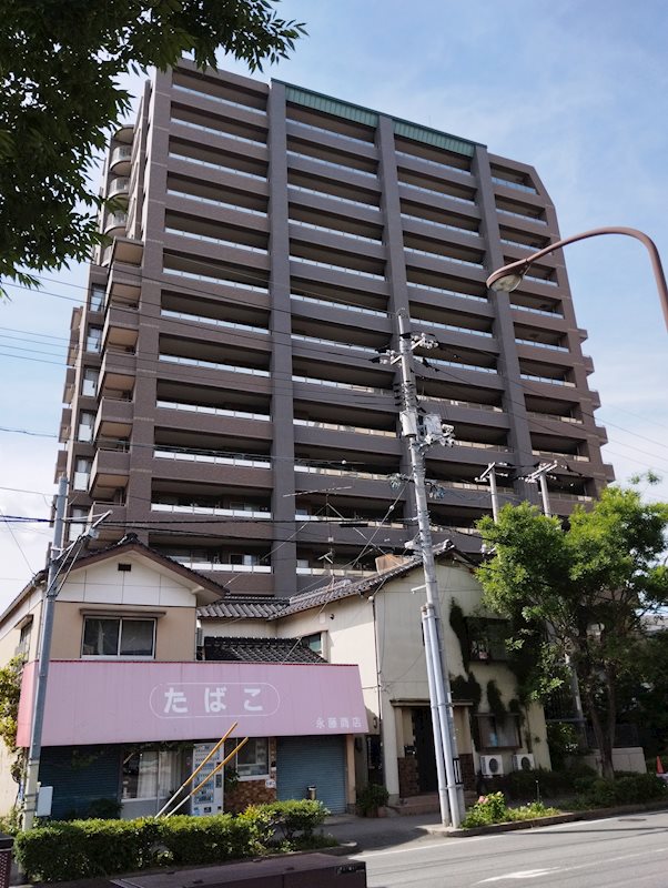 現地写真